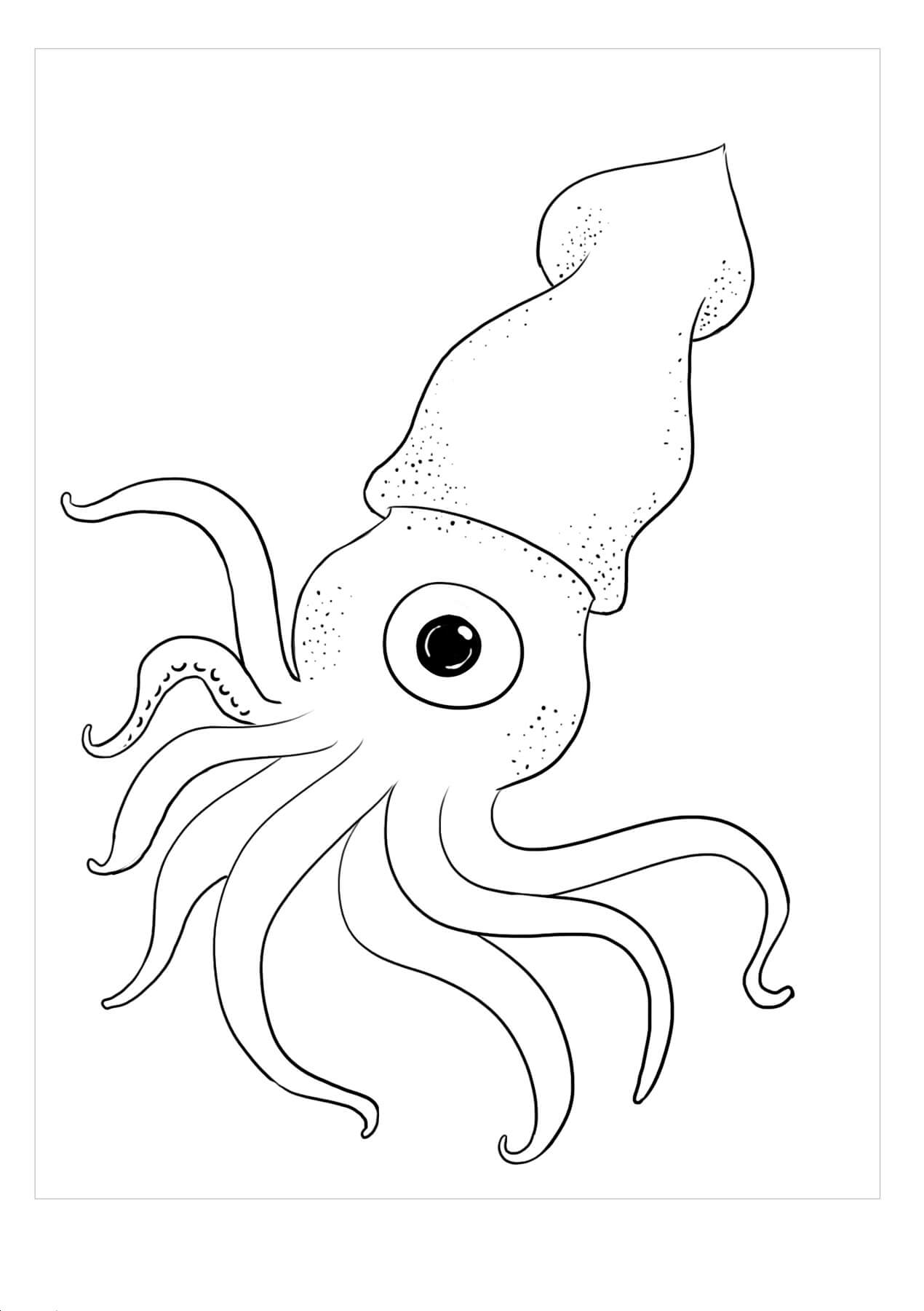 Dibujo de Calamar Un Ojo para Colorear y Imprimir