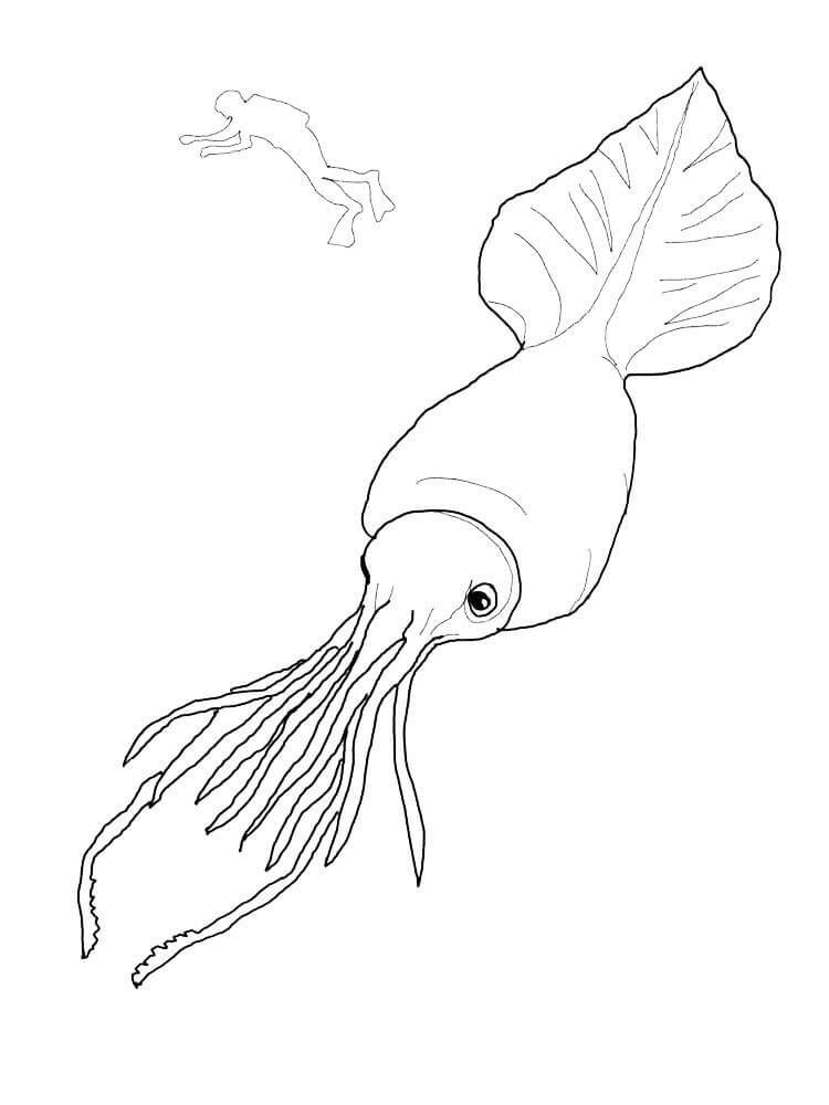 Dibujo de Calamar y Gente para Colorear y Imprimir