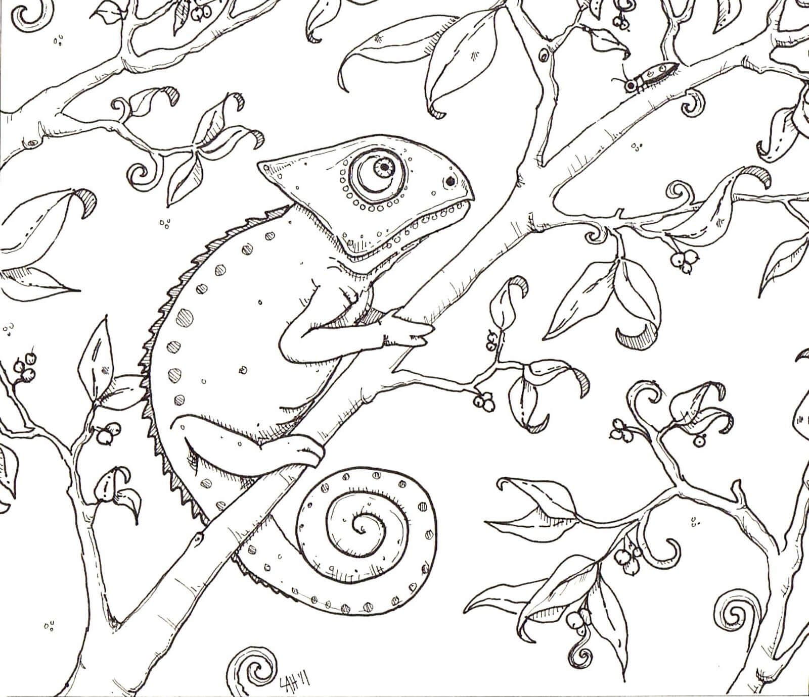 dibujo camaleon en rama de arbol para colorear