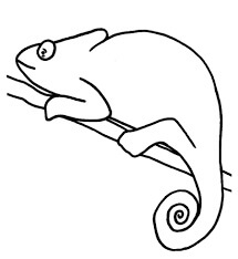 dibujo camaleon facil para colorear