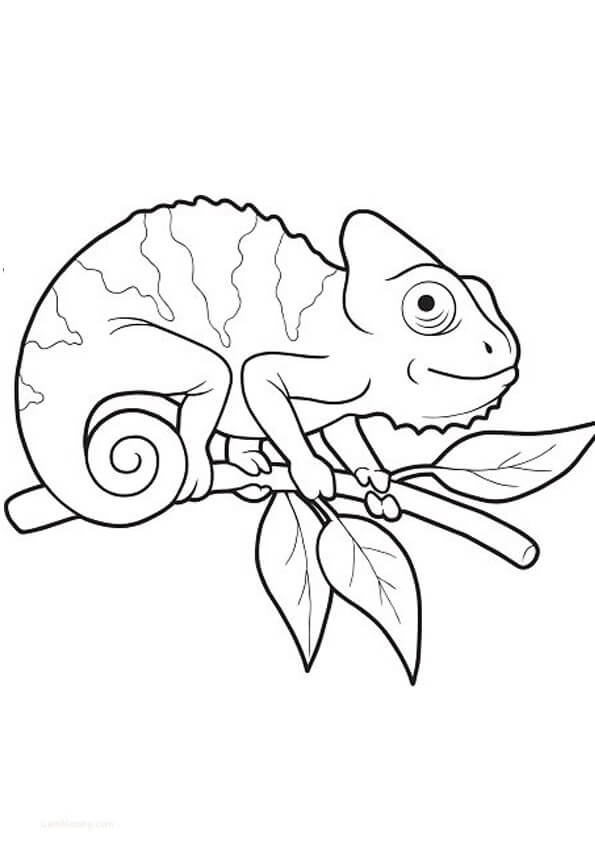 Dibujo de Adorable Camaleón para Colorear y Imprimir