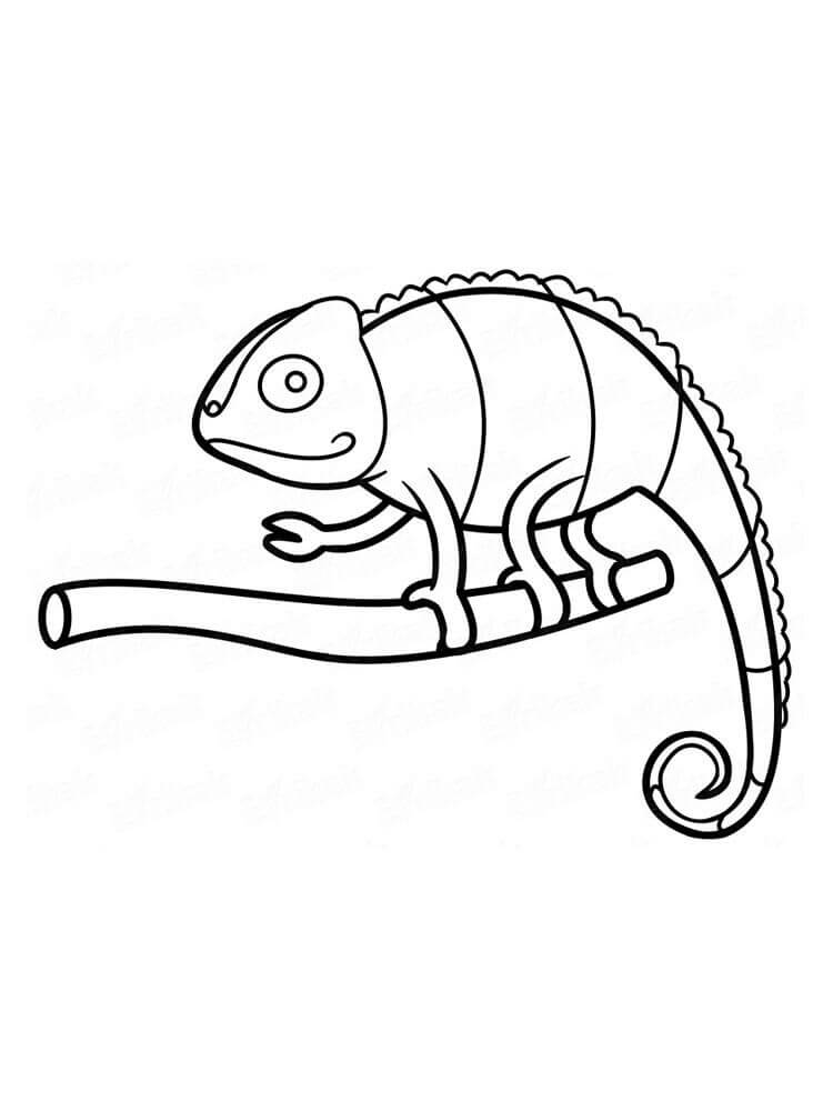 Dibujo de Camaleón Impresionante para Colorear y Imprimir