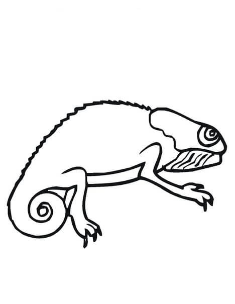 Dibujo de Camaleón Increíble para Colorear y Imprimir