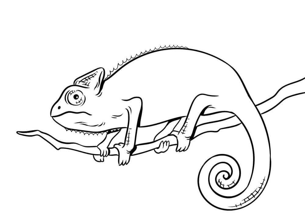 Dibujo de Camaleón Normal para Colorear y Imprimir