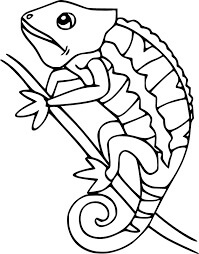 Dibujo de Camaleón Pantera para Colorear y Imprimir