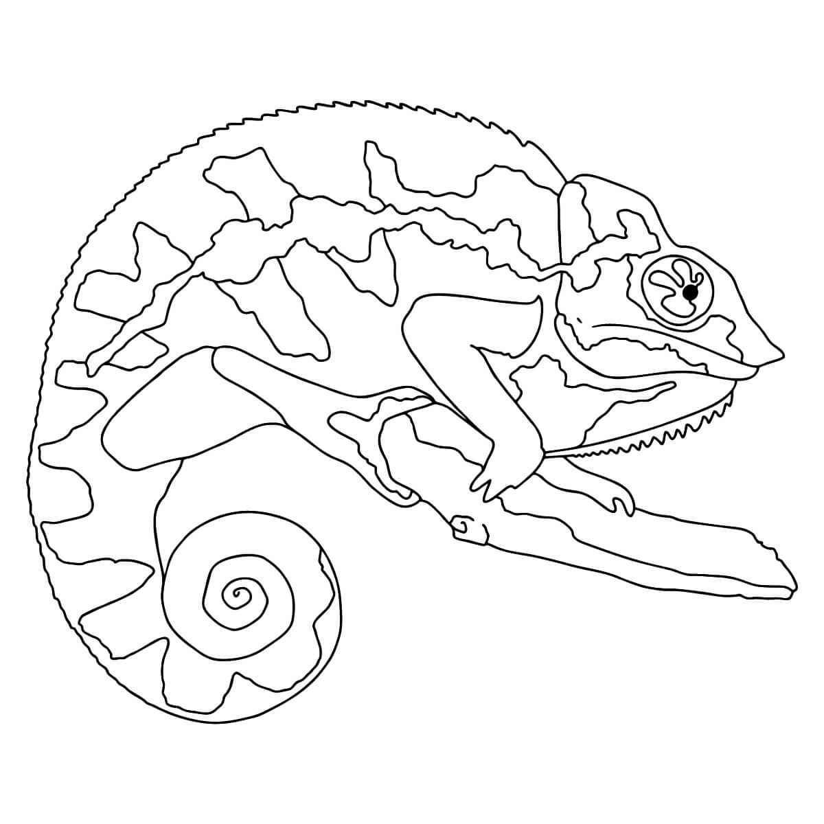 Dibujo de Camaleón Perfecto para Colorear y Imprimir