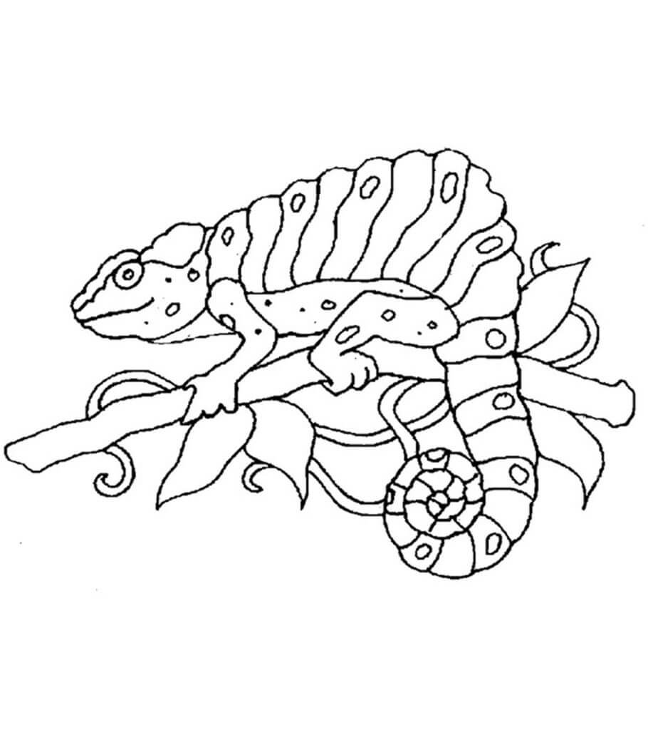 Dibujo de Camaleón Simple para Colorear y Imprimir