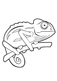 Dibujo de Gran Camaleón para Colorear y Imprimir