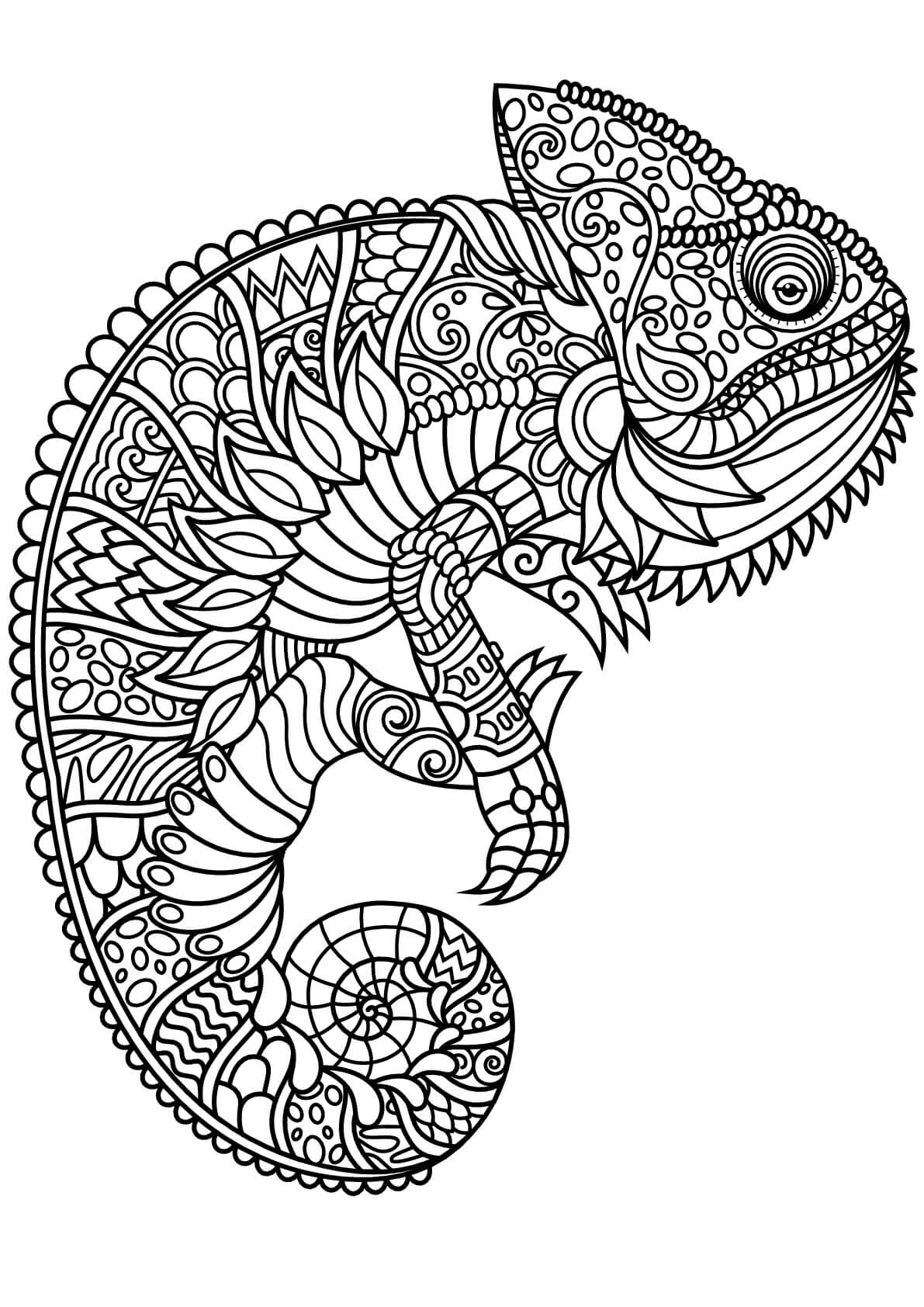 dibujo el camaleon es para adultos para colorear