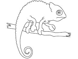 dibujo gratis de camaleon para pintar