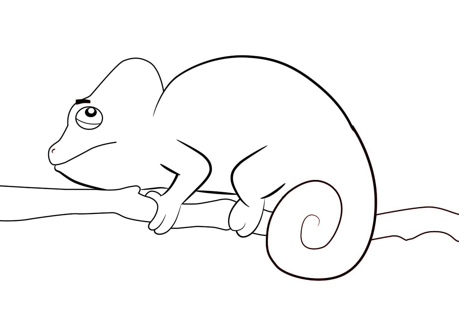 dibujo lindo camaleon en rama arbol para colorear