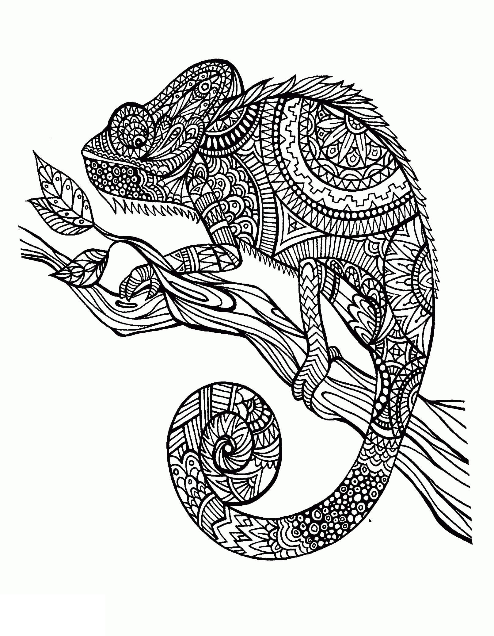 dibujo mandala de camaleon para colorear