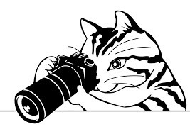 Dibujo de Cámara de Retención de Gato para Colorear y Imprimir