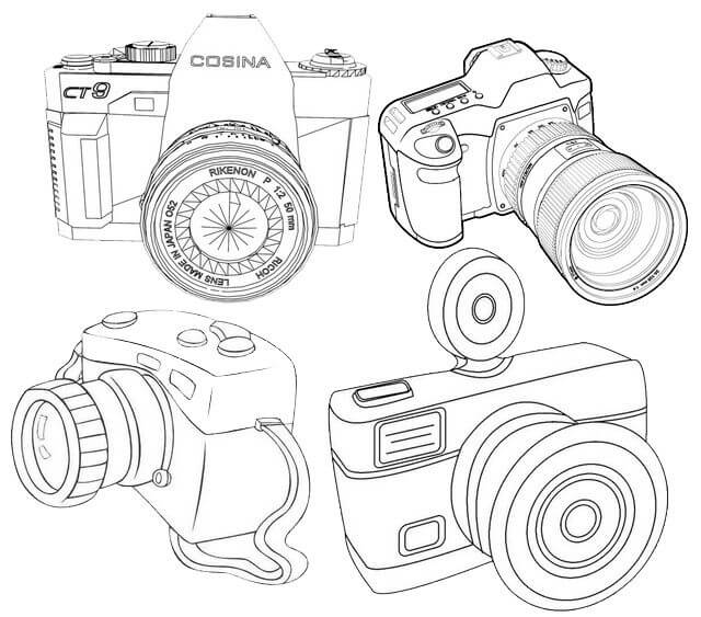 Dibujo de Cuatro Cámaras para Colorear y Imprimir
