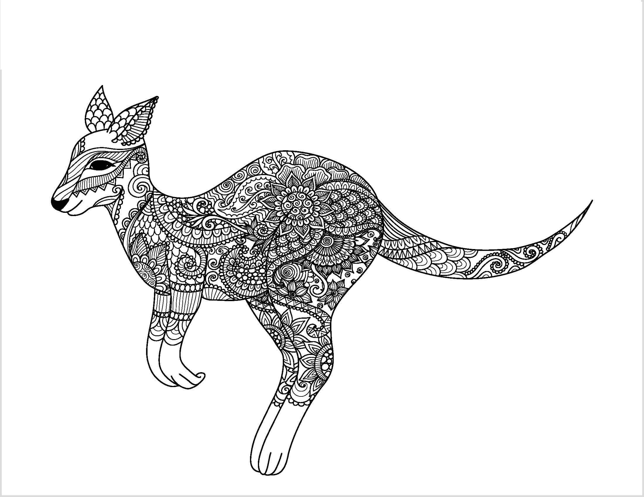 dibujo canguro adulto para imprimir y colorear