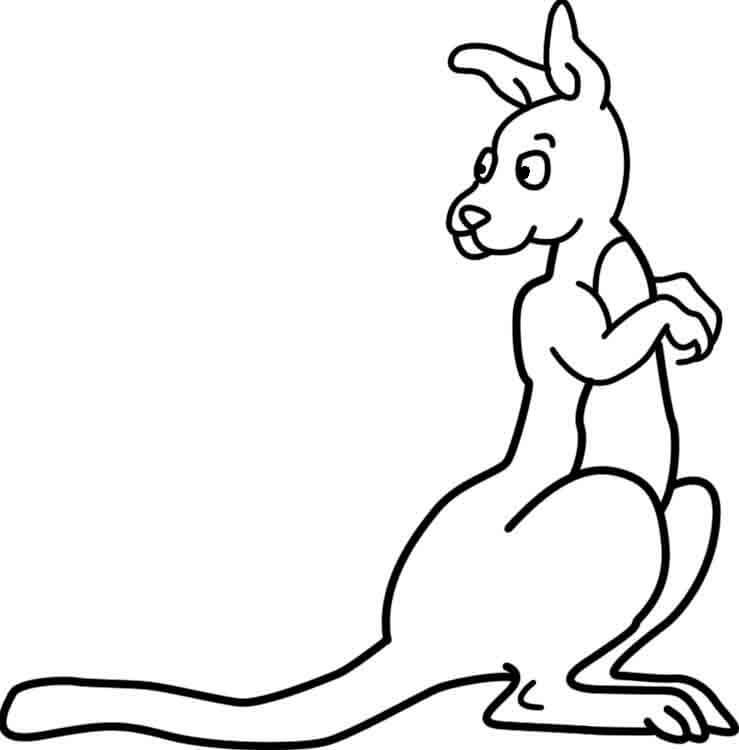 dibujo canguro normal para imprimir y colorear