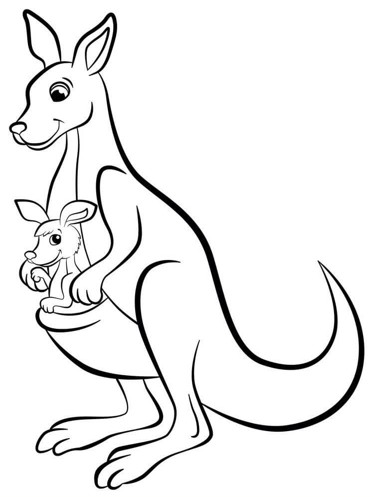 dibujo canguro simple para imprimir y colorear