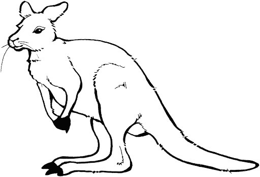 Dibujo de Canguro Simple para Colorear y Imprimir