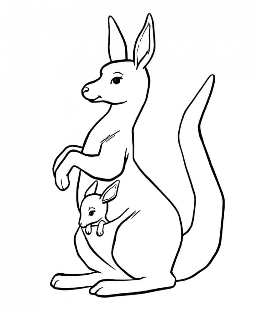 dibujo gran madre y canguro bebe para imprimir y colorear