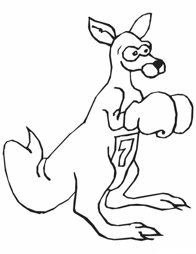 dibujo jugador de boxeo canguro para imprimir y colorear