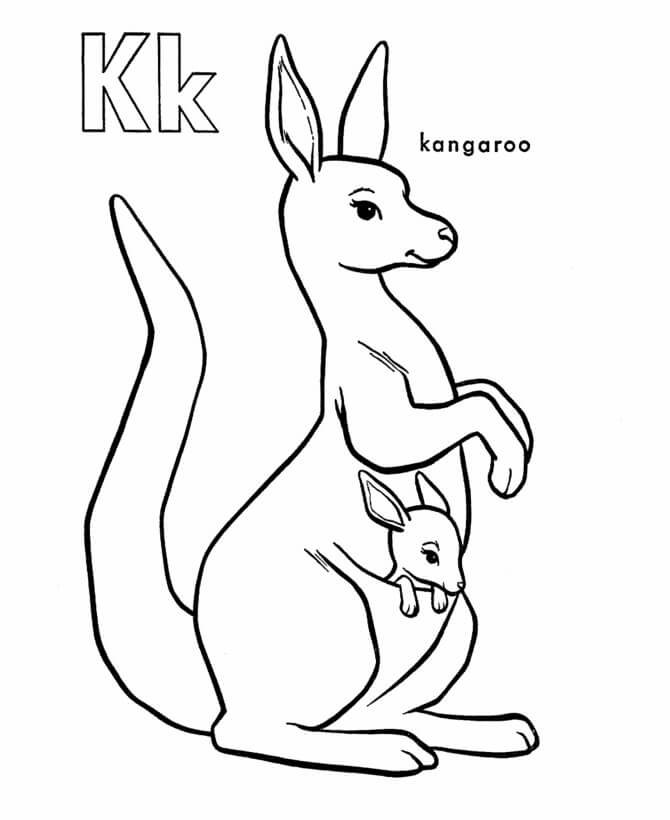 dibujo k es para canguro para imprimir y colorear