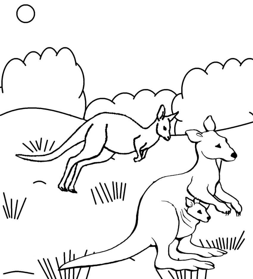 dibujo tres canguro para imprimir y colorear