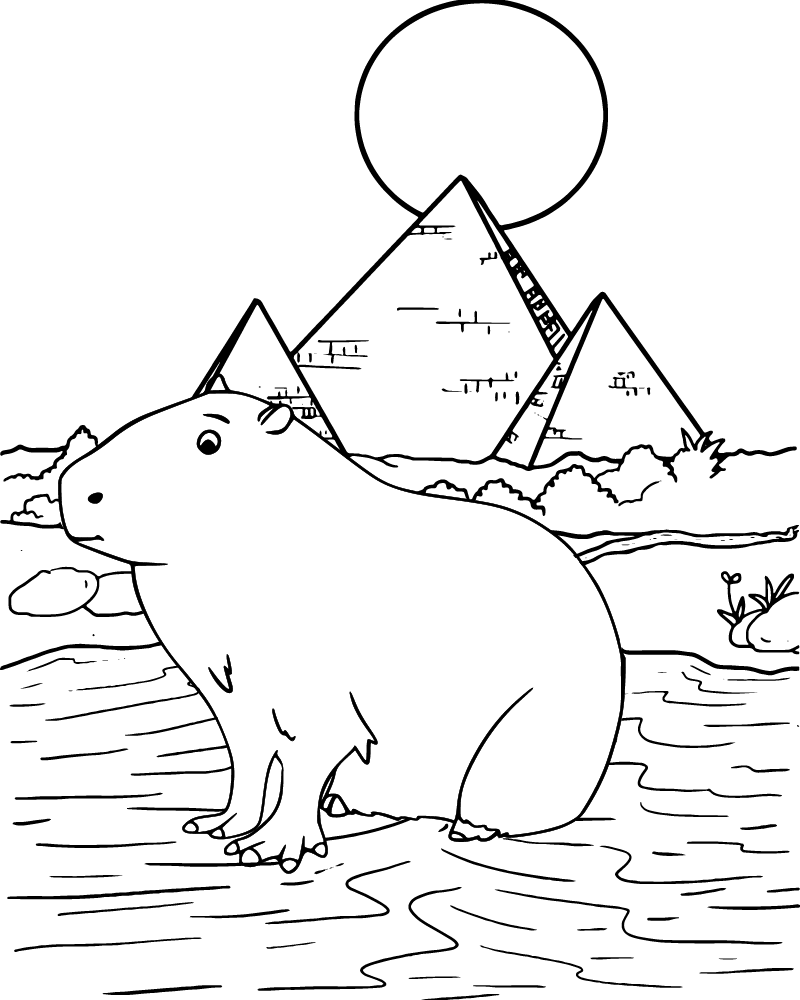 dibujo capibara animales para colorear