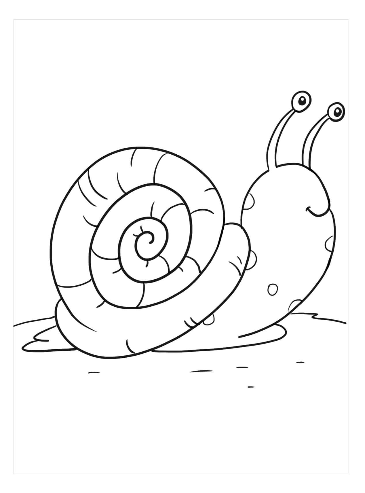 Dibujo de Buen Caracol para Colorear y Imprimir
