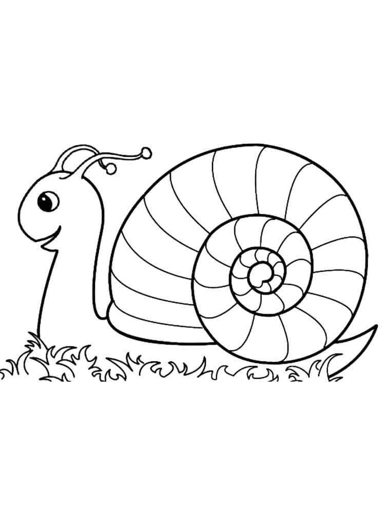 Dibujo de Caracol Agradable para Colorear y Imprimir