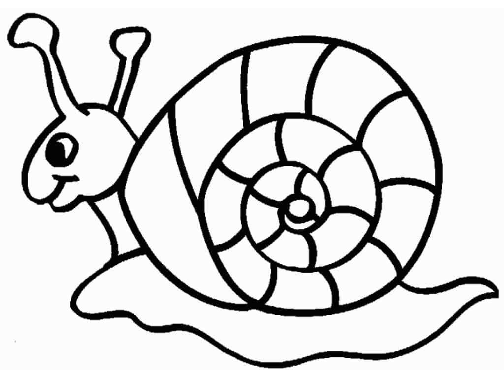 Dibujo de Caracol Basíco para Colorear y Imprimir