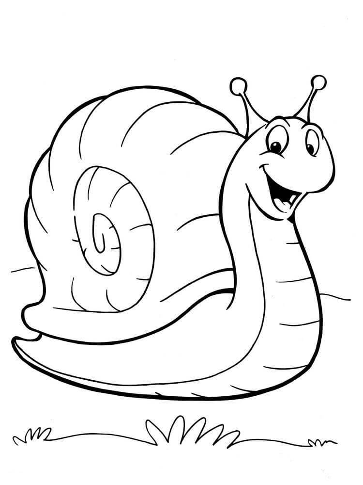 Dibujo de Caracol Bob para Colorear y Imprimir