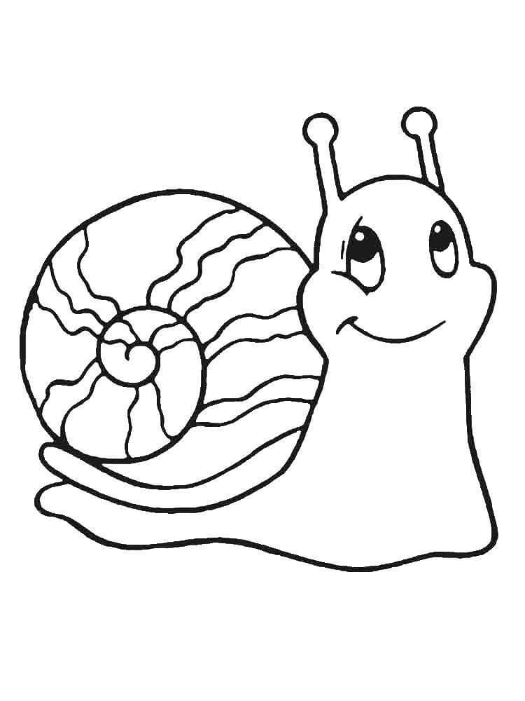Dibujo de Caracol de Dibujos Animados para Colorear y Imprimir