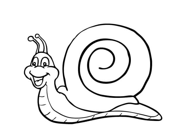 Dibujo de Caracol Divertido para Colorear y Imprimir