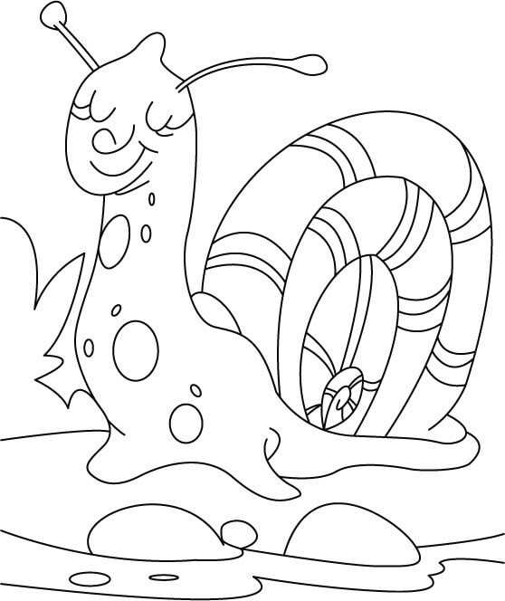 Dibujo de Caracol Dormido para Colorear y Imprimir