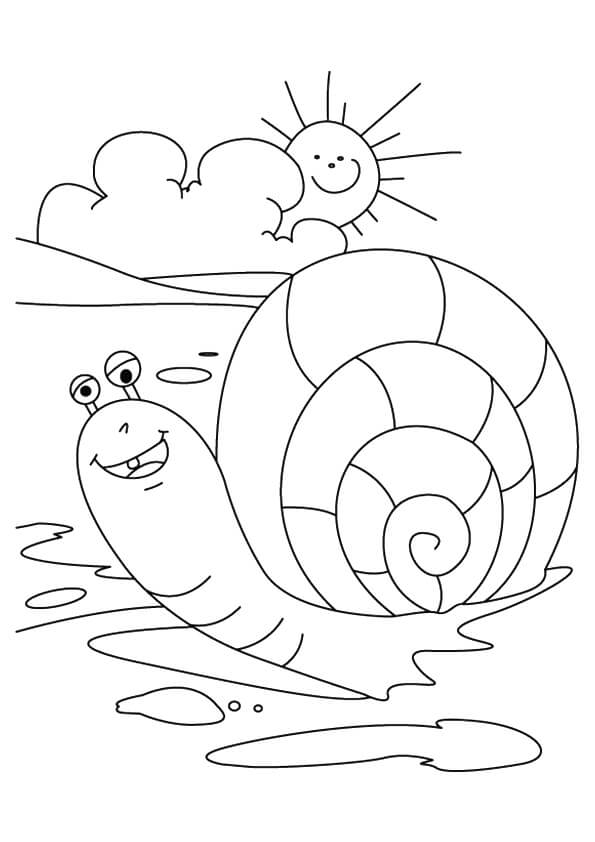 Dibujo de Caracol En La Playa para Colorear y Imprimir