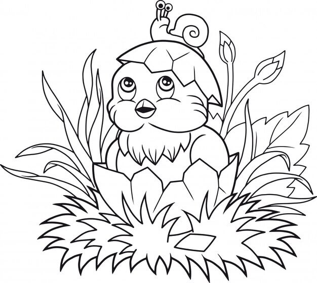 Dibujo de Caracol En Pájaro para Colorear y Imprimir