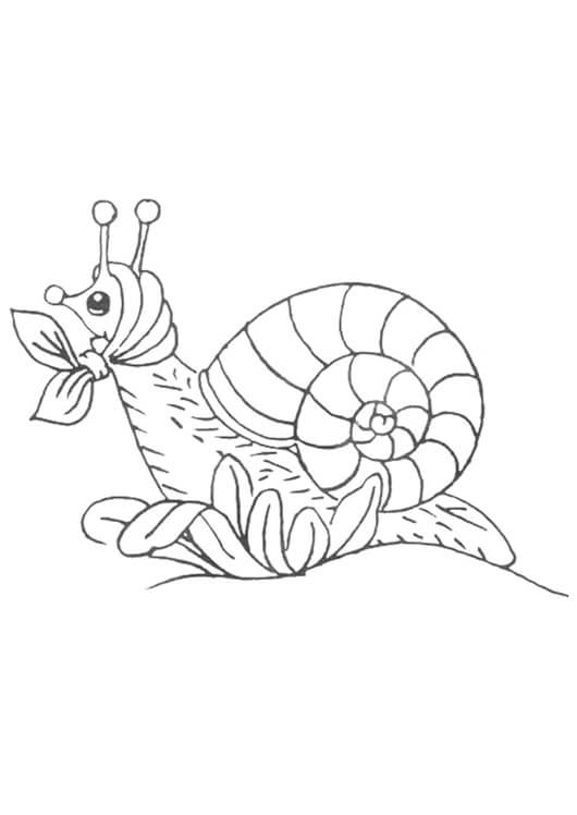 Dibujo de Caracol Imprimible para Colorear y Imprimir