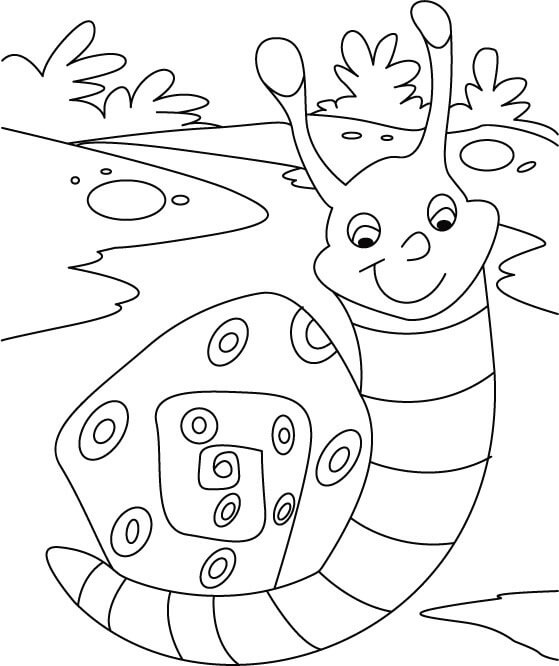 Dibujo de Caracol Kawaii para Colorear y Imprimir