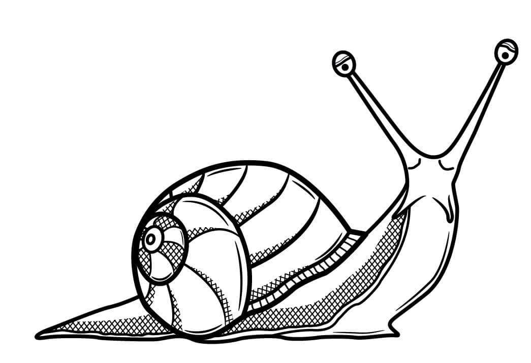 Dibujo de Caracol Lindo para Colorear y Imprimir
