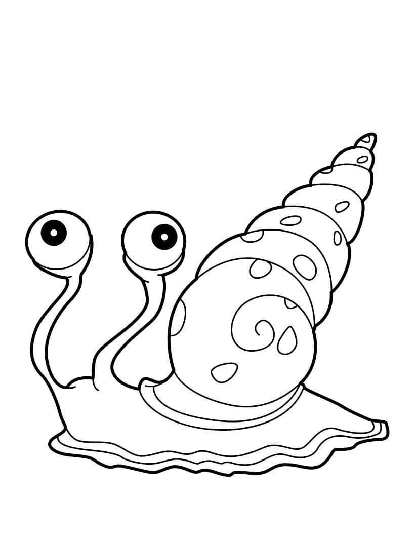 Dibujo de Caracol Marino para Colorear y Imprimir