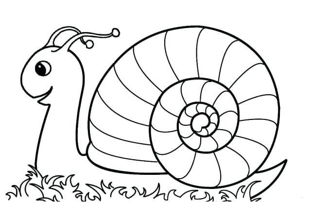 Dibujo de Caracol Normal para Colorear y Imprimir