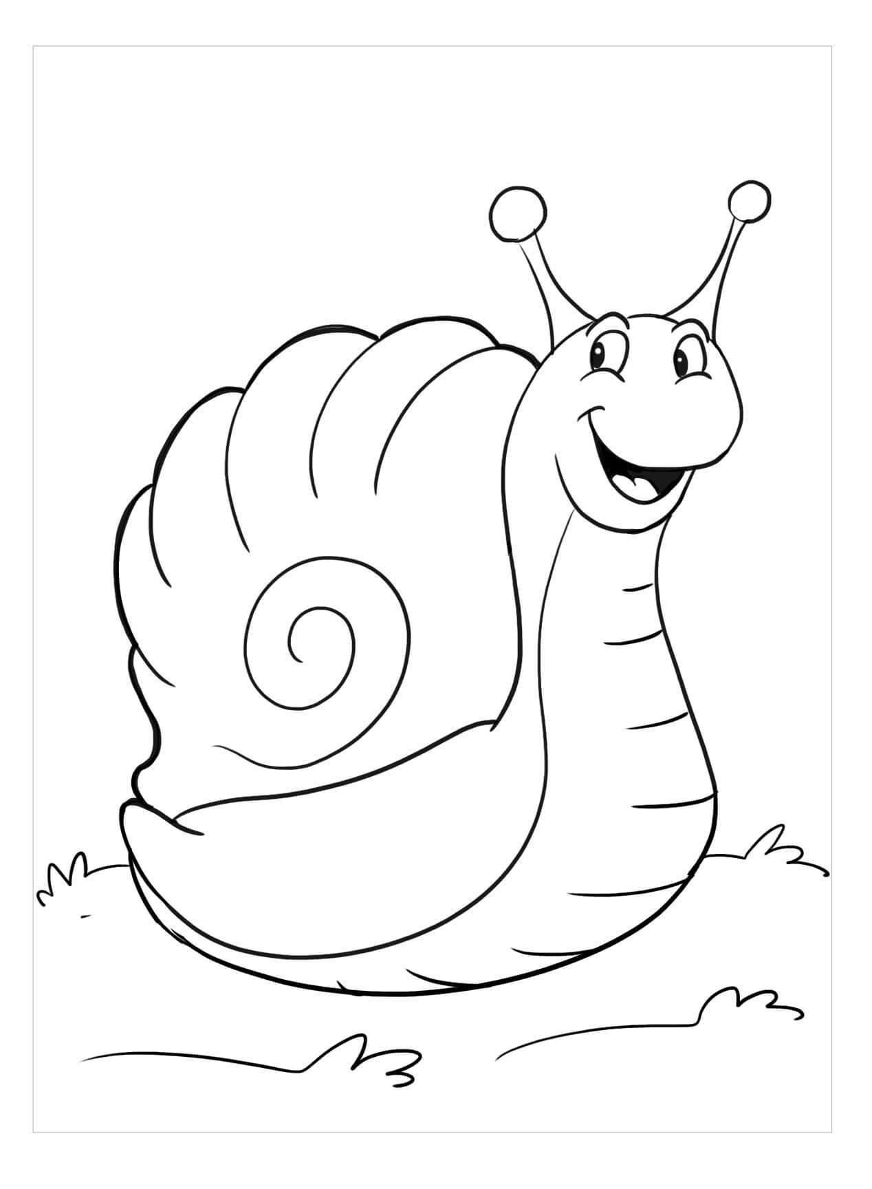 Dibujo de Caracol Perfecto para Colorear y Imprimir