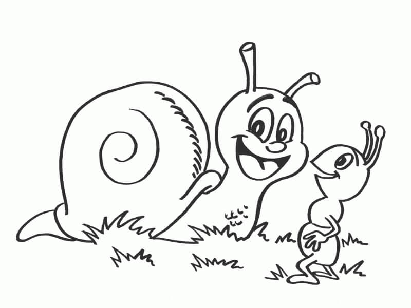 Dibujo de Caracol y Hormiga para Colorear y Imprimir
