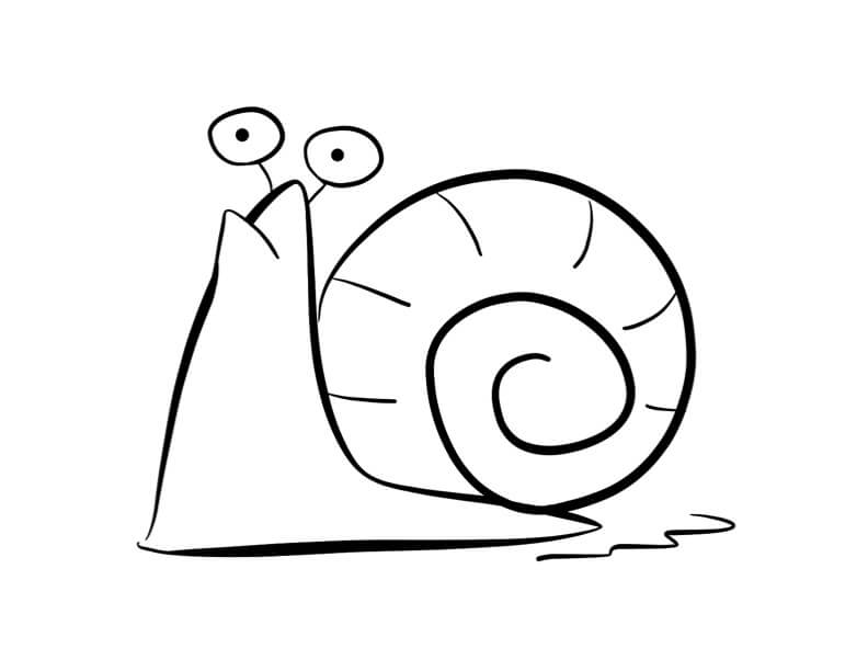 Dibujo de Gran Caracol para Colorear y Imprimir