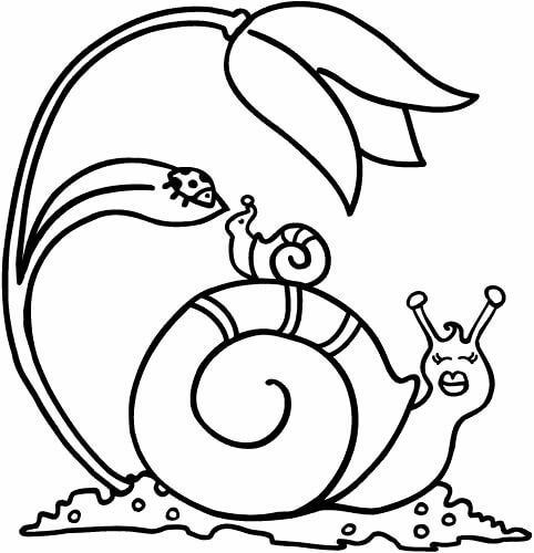 Dibujo de Madre Caracol y Bebé Caracol para Colorear y Imprimir