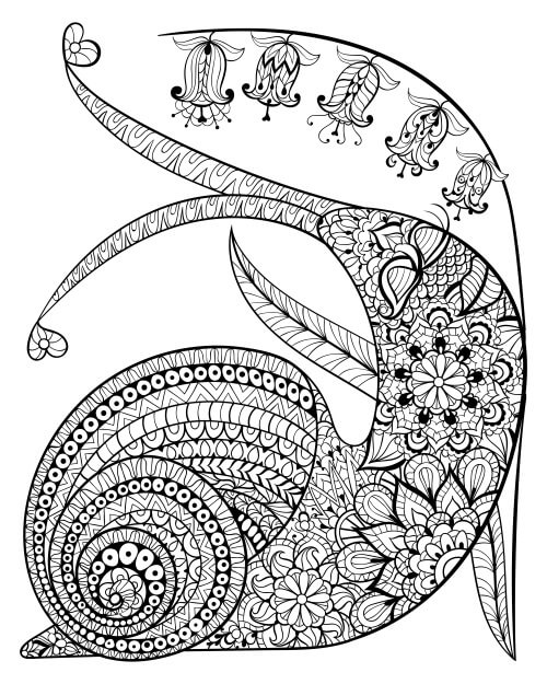 Dibujo de Mándala Caracol para Colorear y Imprimir