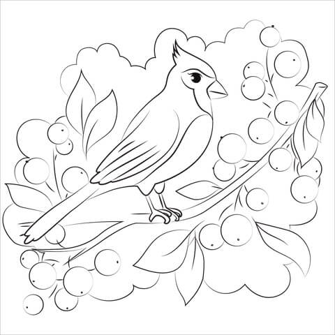 dibujo adorable cardenal para imprimir y colorear