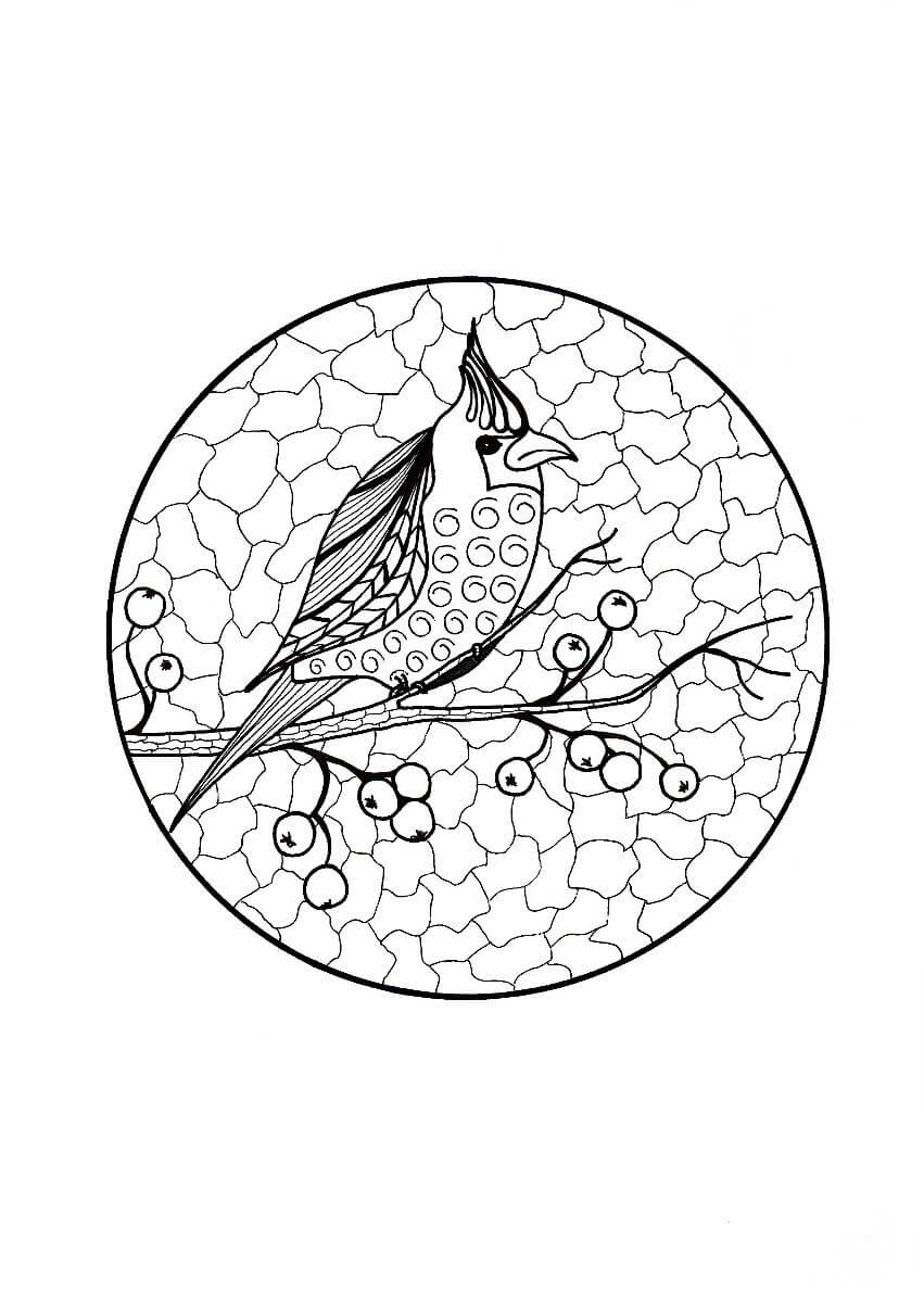 dibujo cardenal en rama adulto para imprimir y colorear