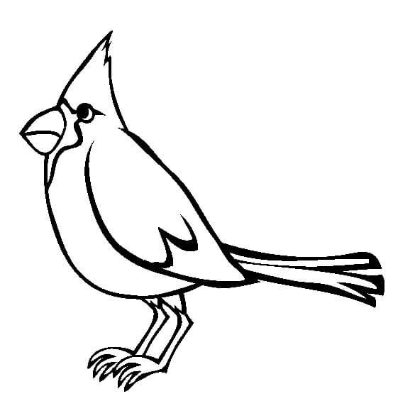 dibujo cardenal para imprimir y colorear