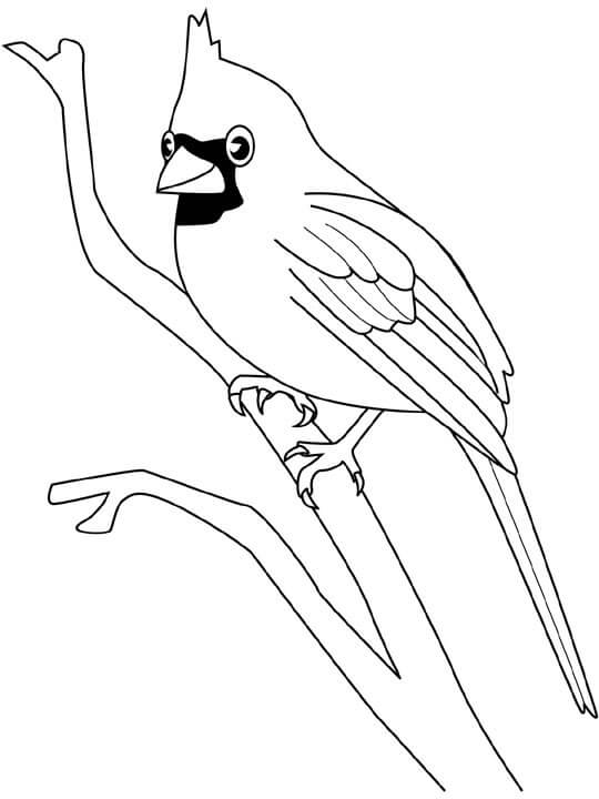 dibujo cardenal sonriendo para imprimir y colorear